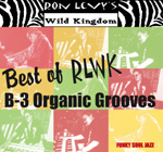 Ron Levy: Best of B-3 Organic Grooves