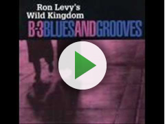 Ron Levy's Music - Musician/Producer Ron Levy & His Wild Kingdom - Hammond  B-3 organ grooves - soul jazz, funk, acid jazz, hip-hop, jambands, funky  grooves, blues, R&B, Soul, Latin Funk